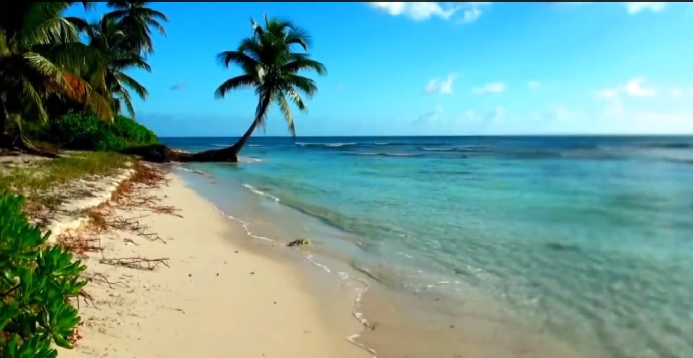 Travel company promo